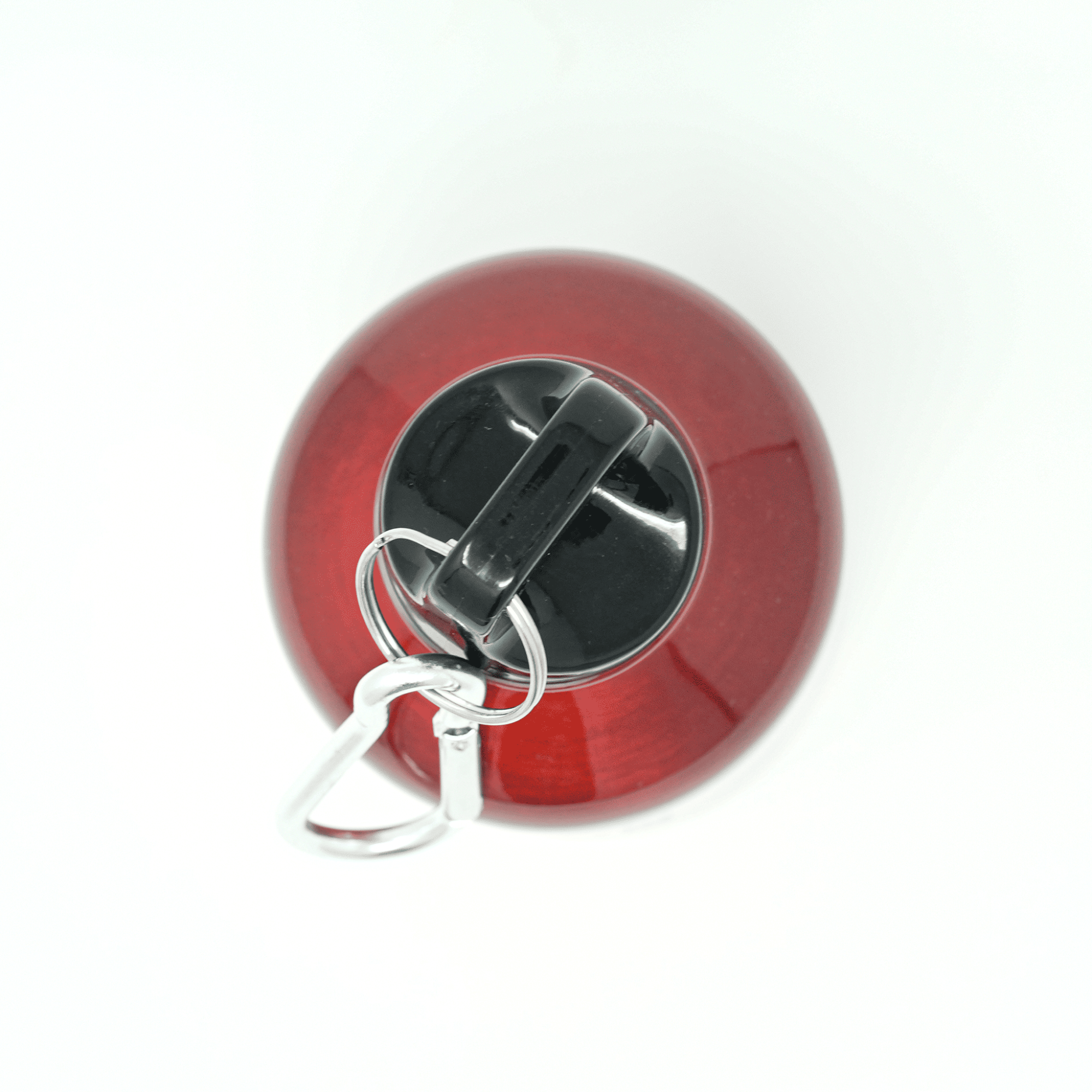 Borussia Trinkflasche Aluminium